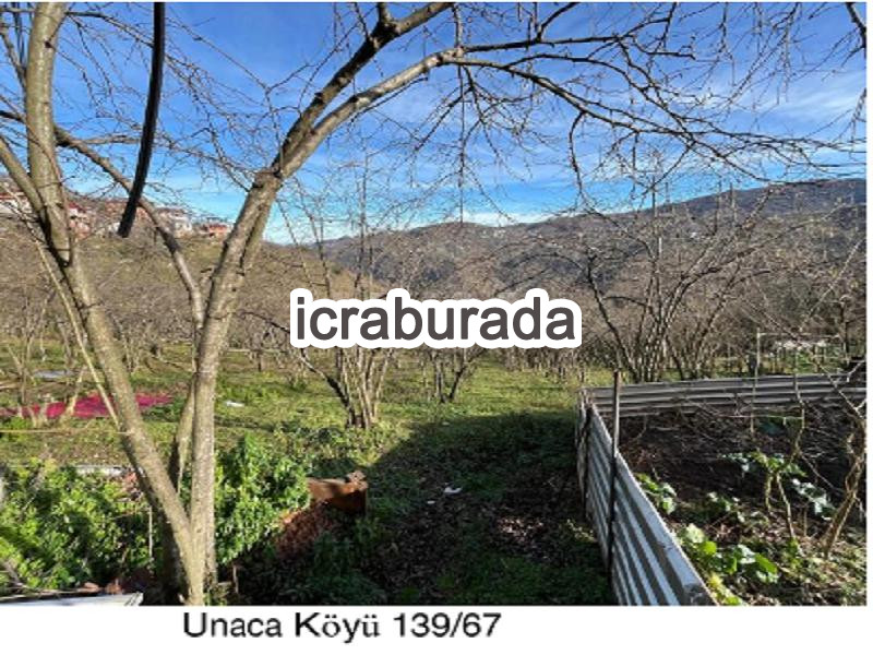 icralık  m2 Arsa Giresun Keşap Unaca