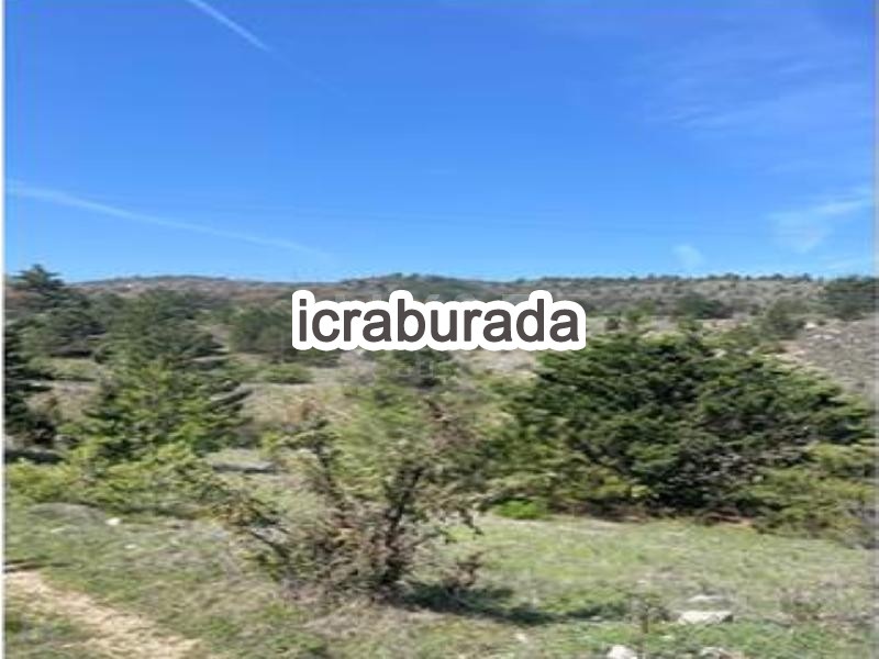 icralık  m2 Tarla Karabük Merkez Kale
