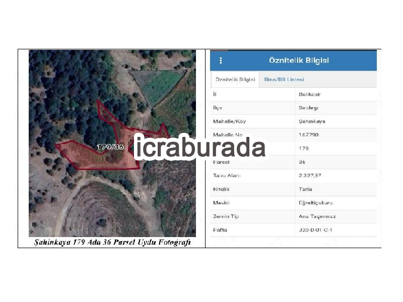 icralık  m2 Tarla Balıkesir Sındırgı Şahinkaya