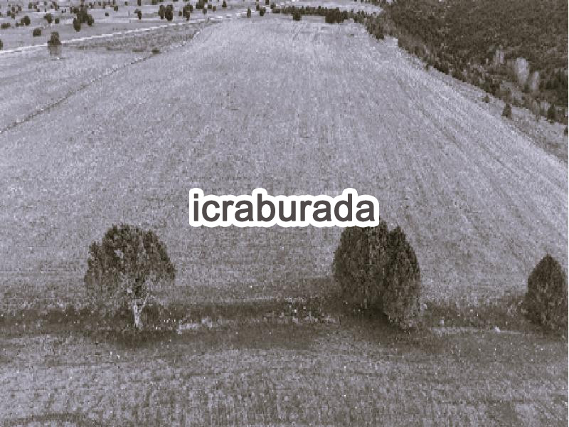 icralık  m2 Tarla Kayseri Pınarbaşı Gebelek