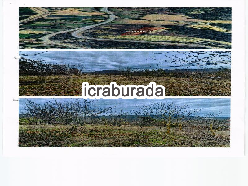 icralık  m2 Tarla Kütahya Simav Yeşilköy
