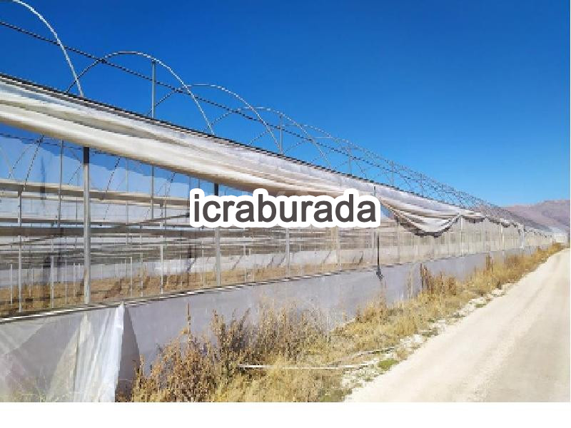 icralık  m2 Tarla Burdur Çavdır Söğüt-Fatih