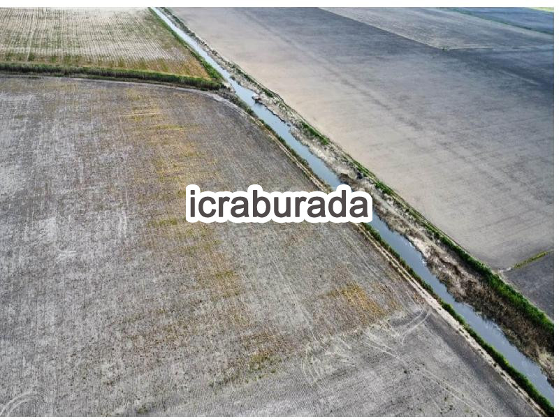 icralık  m2 Tarla İzmir Bergama Aşağikiriklar