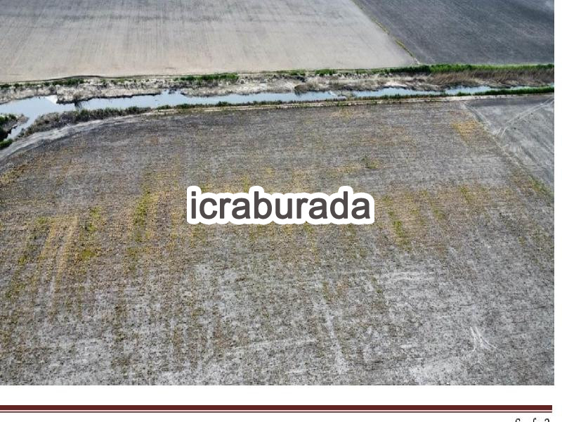 icralık  m2 Tarla İzmir Bergama Aşağikiriklar