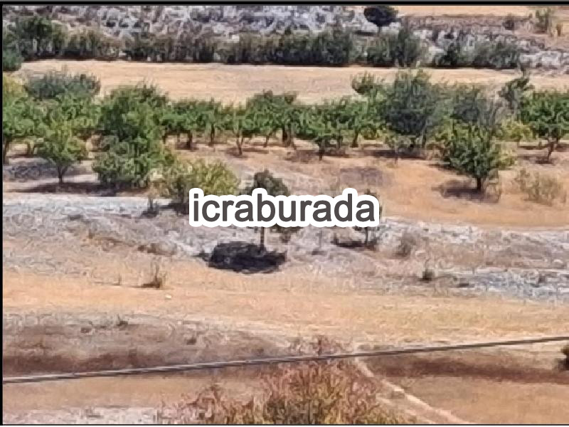 icralık  m2 Tarla Mersin Gülnar Akova