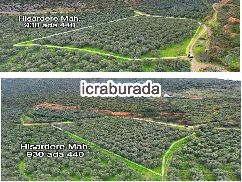 icralık  m2 Tarla Bursa İznik Hisardere