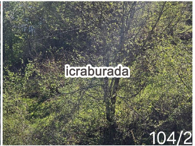icralık  m2 Tarla Belirtilmedi Belirtilmedi Belirtilmedi