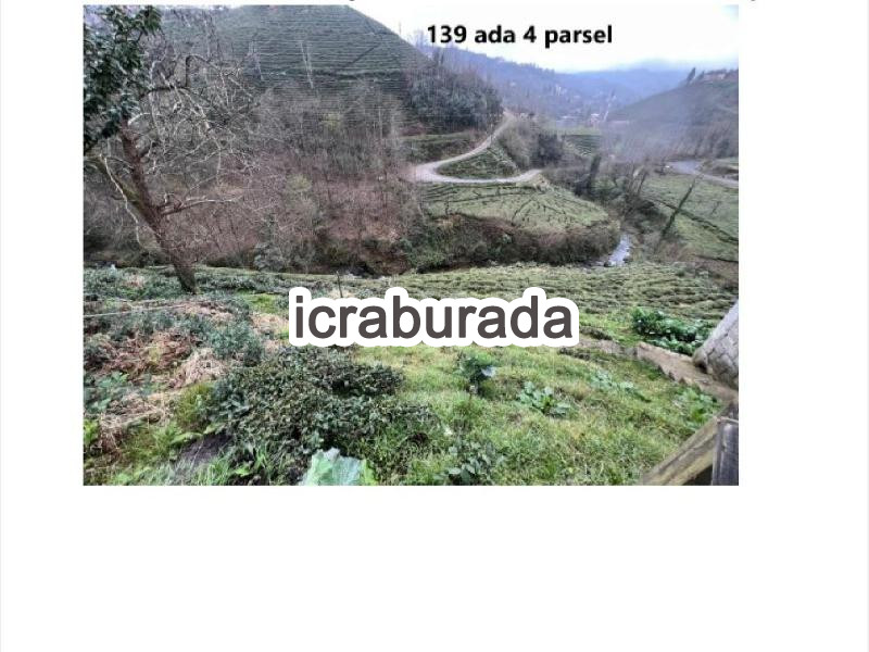 icralık  m2 Diger Rize Merkez Derebaşi