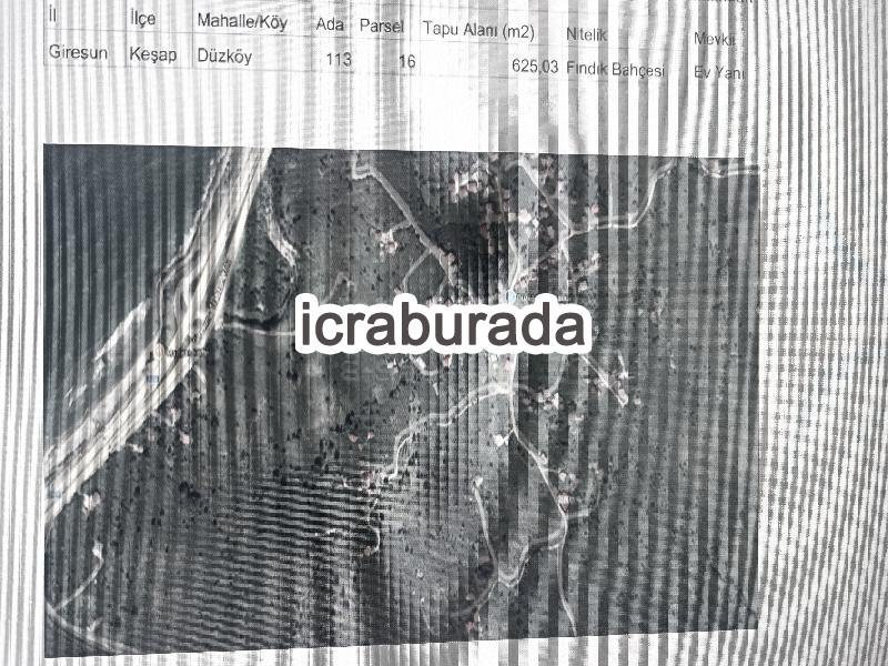 icralık  m2 Arsa Giresun Keşap Düzköy