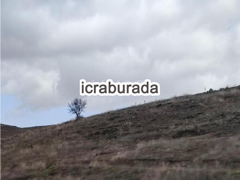 icralık  m2 Tarla Afyonkarahisar Şuhut Ortapinar