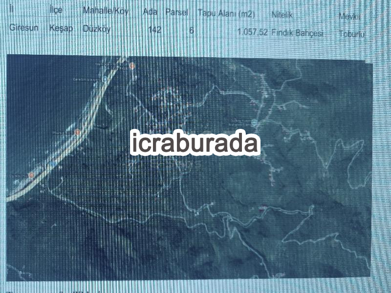 icralık  m2 Arsa Giresun Keşap Düzköy