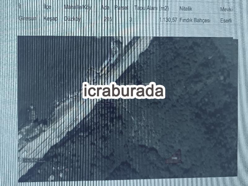 icralık  m2 Arsa Giresun Keşap Düzköy
