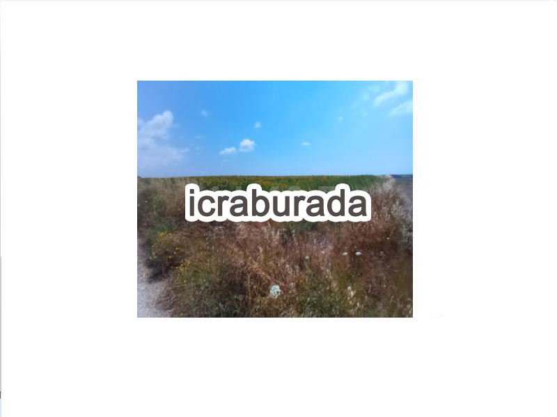 icralık  m2 Tarla Adana Yumurtalık Tahiriye