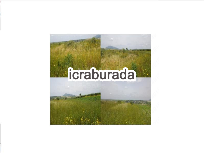 icralık  m2 Tarla Adana Yumurtalık Tahiriye