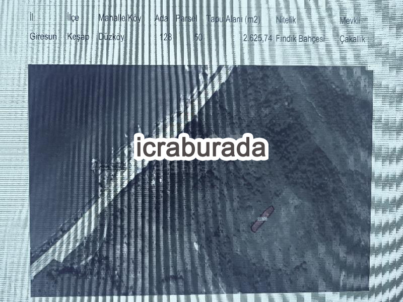 icralık  m2 Arsa Giresun Keşap Düzköy