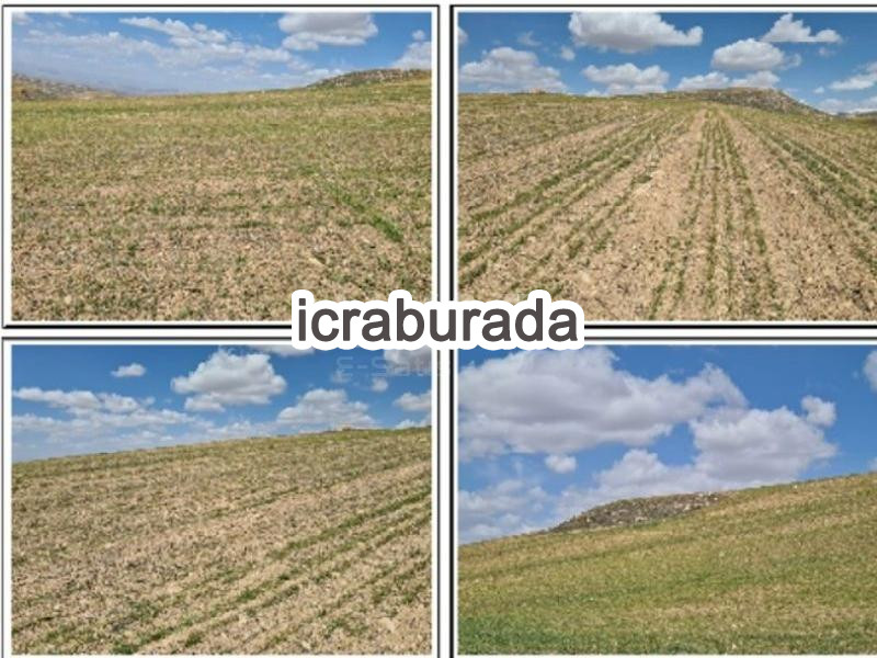 icralık  m2 Tarla Kayseri Akkışla Güzelhisar