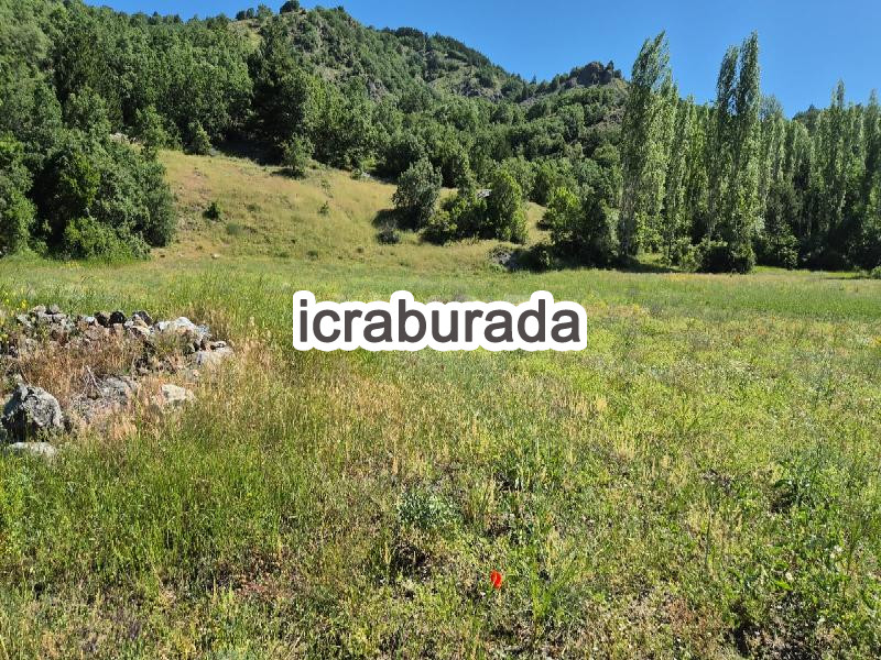 icralık  m2 Tarla Çorum İskilip Kavak