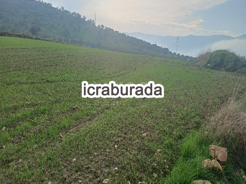 icralık  m2 Tarla İzmir Bayındır Pinarli