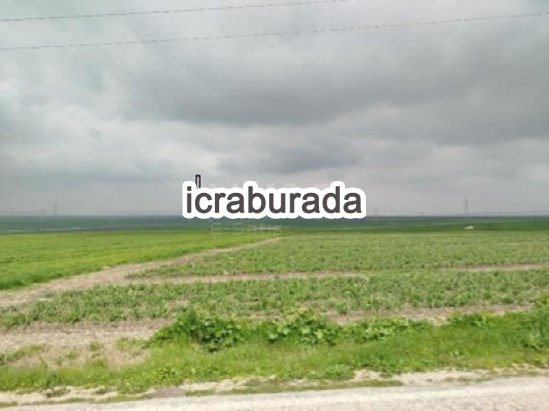 icralık  m2 Tarla Balıkesir Bandırma Yenisiğirci