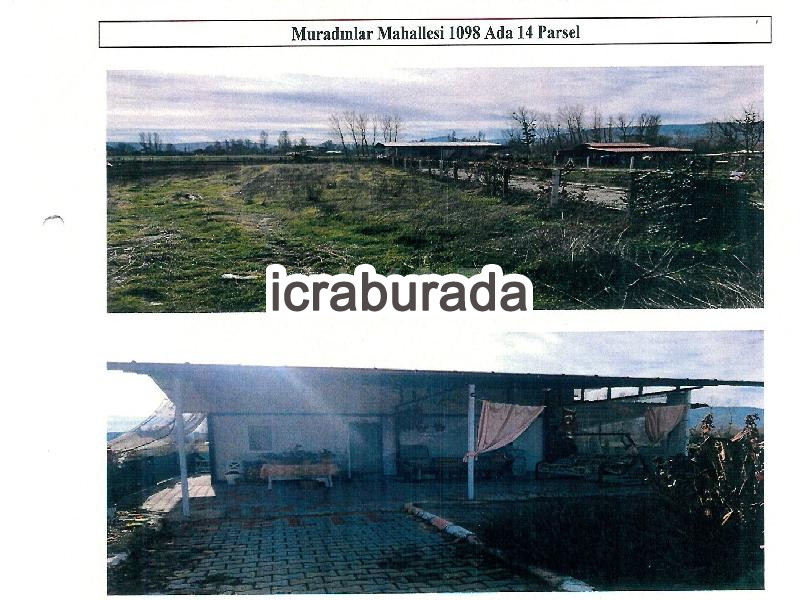 icralık  m2 Tarla Kütahya Simav Muradinlar