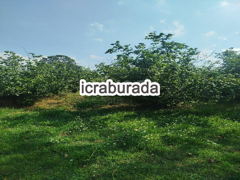 icralık  m2 Tarla Sakarya Hendek Başpinar