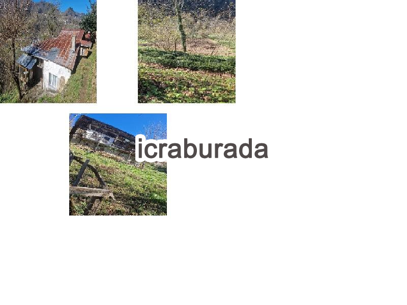 icralık  m2 Diger Trabzon Dernekpazarı Ormancik