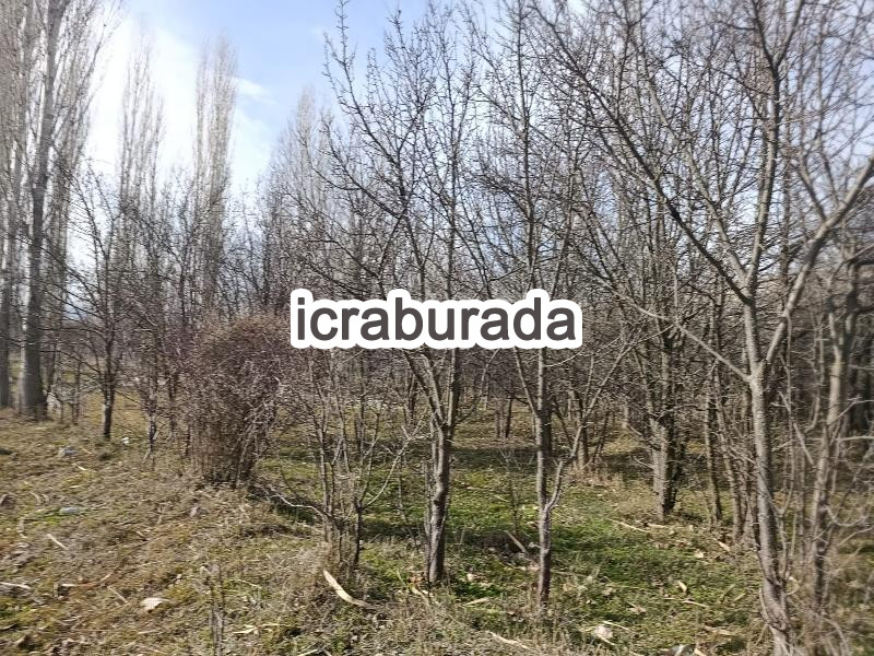 icralık  m2 Tarla Eskişehir Günyüzü Gümüşkonak