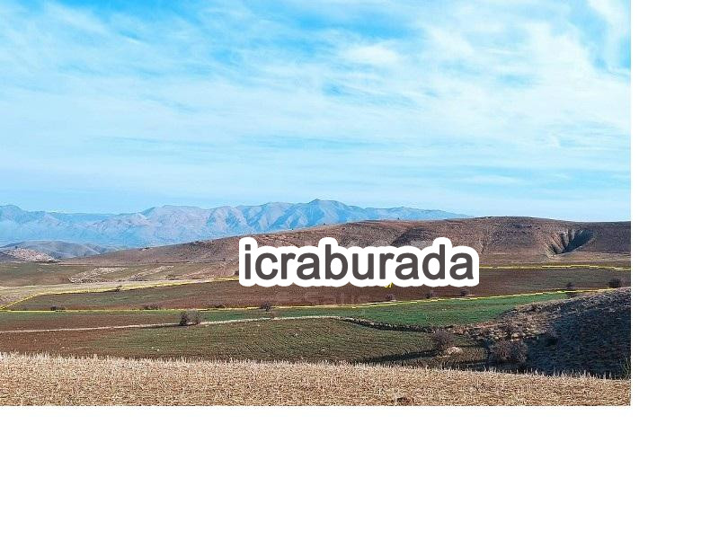 icralık  m2 Tarla Elazığ Merkez Hersenk (Salkaya)