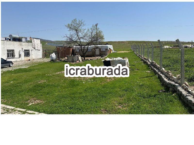 icralık  m2 Arsa Siirt Kurtalan Yayik Dere