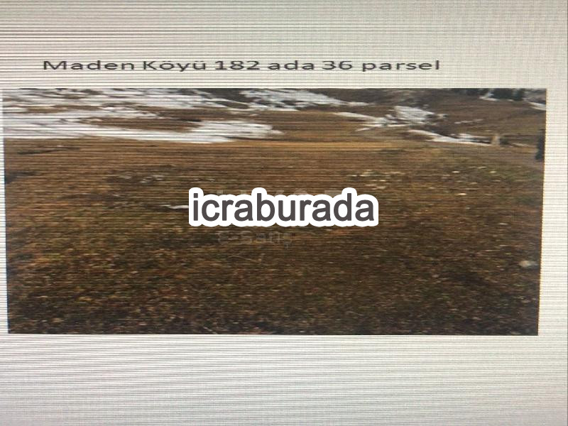 icralık  m2 Tarla Artvin Şavşat Maden