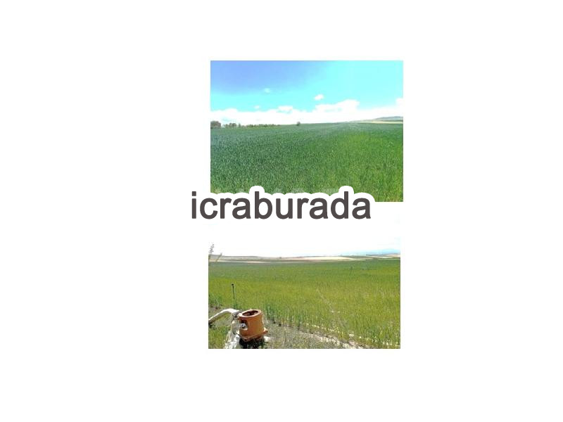 icralık  m2 Tarla Niğde Merkez Gölcük
