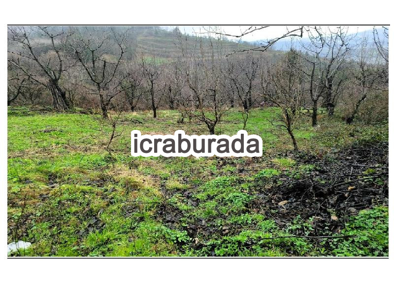 icralık  m2 Tarla Bursa Kestel Babasultan