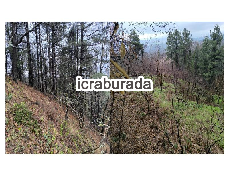 icralık  m2 Diger Bursa Kestel Babasultan