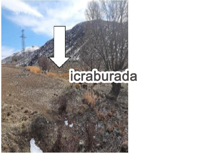 icralık  m2 Tarla Niğde Ulukışla Hacibekirli