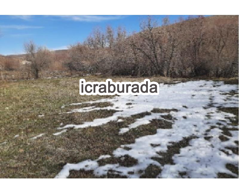 icralık  m2 Tarla Niğde Ulukışla Hacibekirli