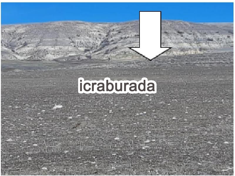 icralık  m2 Tarla Niğde Ulukışla Hacibekirli