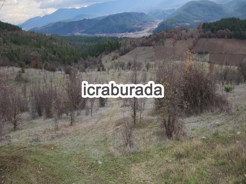 icralık  m2 Tarla Kastamonu Araç Değirmençay