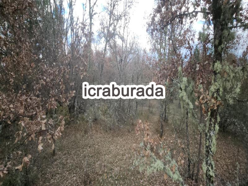 icralık  m2 Tarla Kastamonu Araç Değirmençay