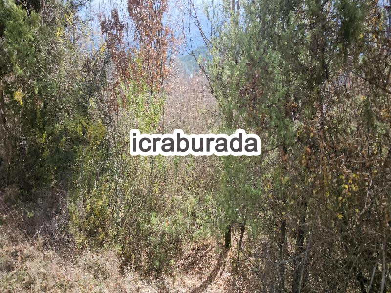 icralık  m2 Diger Kastamonu Araç Değirmençay