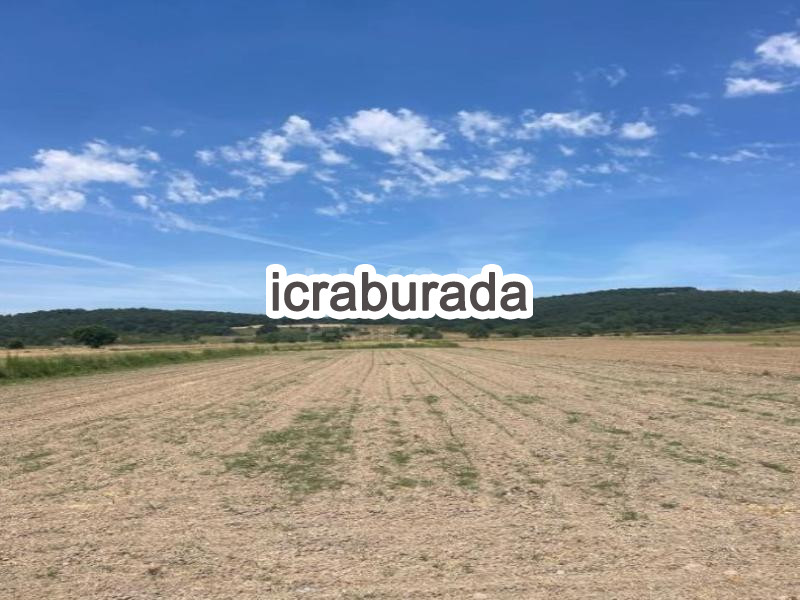 icralık  m2 Tarla Sakarya Söğütlü Yeniköy