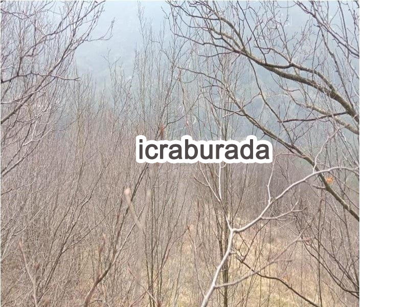 icralık  m2 Tarla Samsun Çarşamba Karakaya