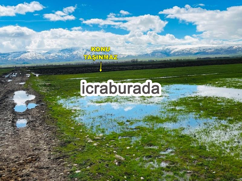 icralık  m2 Tarla Muş Merkez Yoncaliöz ( Gaybiyan )
