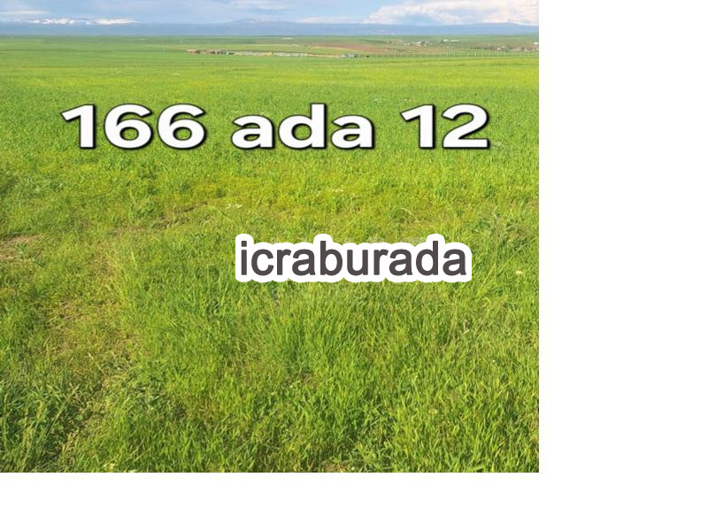 icralık  m2 Tarla Ağrı Hamur Çevre