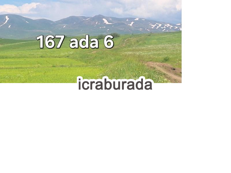 icralık  m2 Tarla Ağrı Hamur Çevre