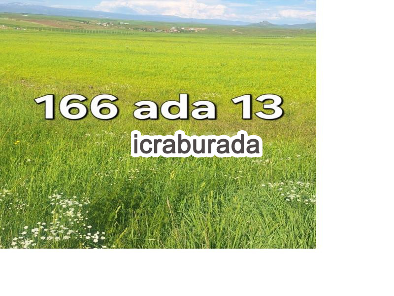 icralık  m2 Tarla Ağrı Hamur Çevre