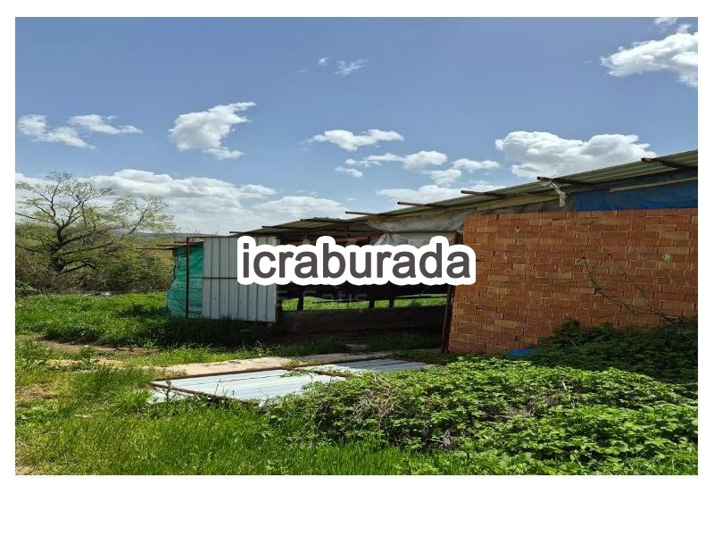 icralık  m2 Tarla Bursa Osmangazi Büyükdeliller