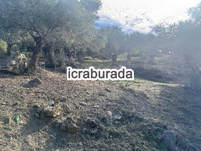 icralık  m2 Tarla İzmir Seferihisar Turabiye
