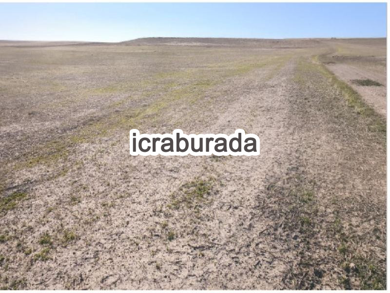 icralık  m2 Tarla Konya Emirgazi Emirgazi/merkez
