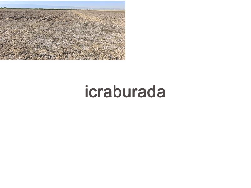 icralık  m2 Tarla Konya Ereğli Servili