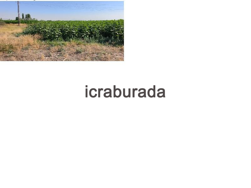 icralık  m2 Tarla Konya Ereğli Servili